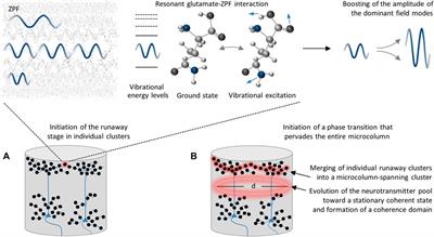 Scrutinizing the feasibility of macroscopic quantum coherence in the brain: a field-theoretical model of cortical dynamics